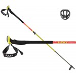 leki aergonlite 2 carbon