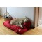 postelja za pse